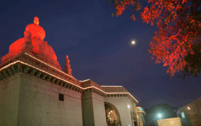 अमृताचा अनुभव